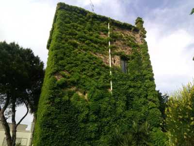 La parte sommitale dell'edificio